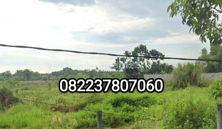 Tanah murah luas 4,5 hektar (45000m2) Banyuwangi  1