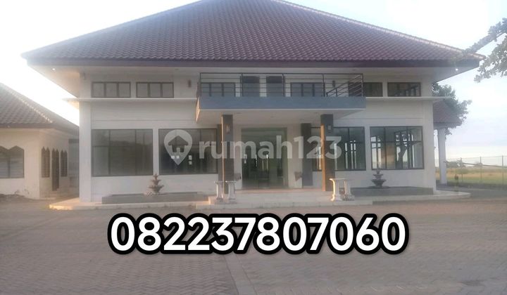 Ex Kantor Pp Properti Raya Paiton Probolinggo 1