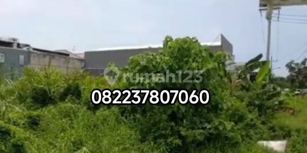 Tanah Kavling Murah Klampis Semolo Barat Kawasan Kampus Tanah Kavling Murah Klampis Semolo Barat Kawasan Kampus