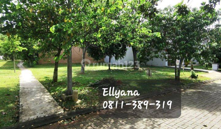 Dijual Kavling Di Cluster Collinare, Foresta Bsd, Sampora Cisauk, Tangerang 1