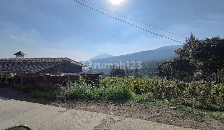 Jual cepat Tanah di Gunung putri Lembang cocok untuk villa dan perkebunan  2