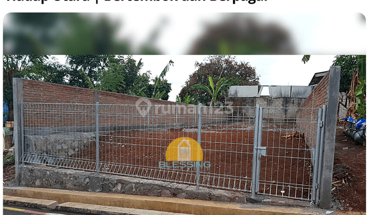 Disewakan Tanah Jangli Tlawah  sudah pagar bumi 1