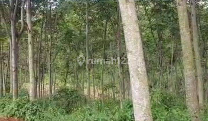 Dijual LAHAN INDUSTRI 1ha di Batang 6