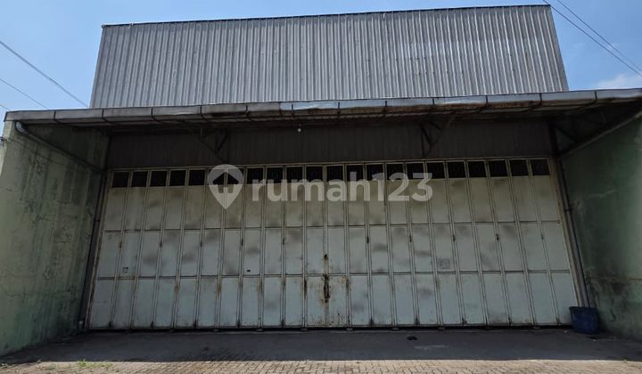 Ruko Startegis Siap Pakai untuk Usaha di Jalan Gajah Raya 2