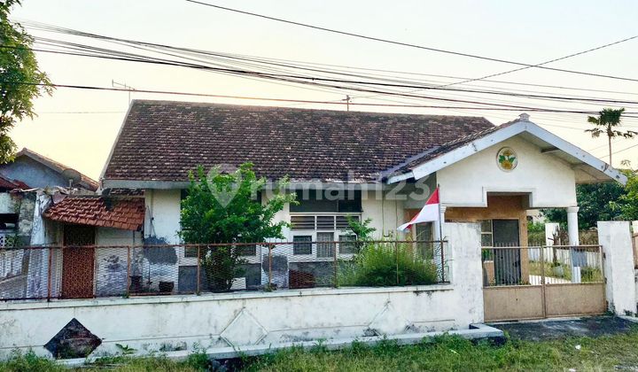 Rumah Nyaman Siap Huni di Jl. Pandean Lamper Semarang Selatan 2
