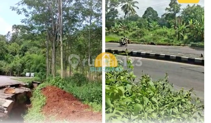 Tanah Luas Startegis Siap Pakai di Jalan Raya Batang 1