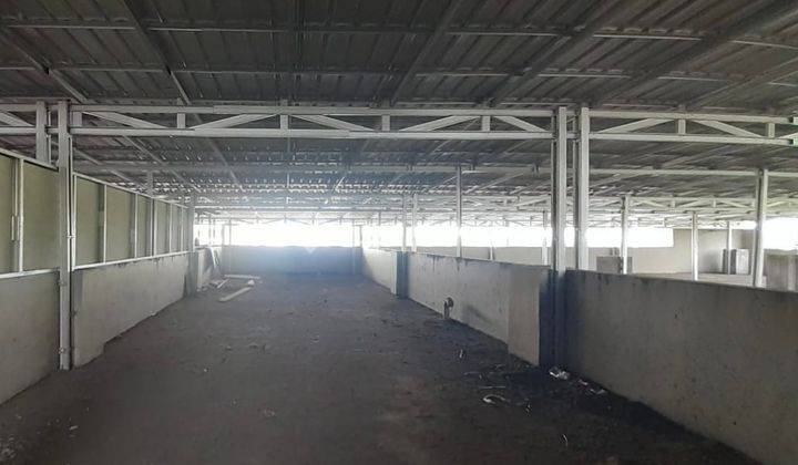 Ruko Pinggir Jalan Di Samarinda  2