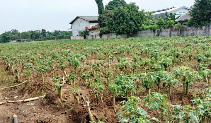 Tanah Murah dan BU di Jl. Kampung Bayur Sepatan-Tangerang 1