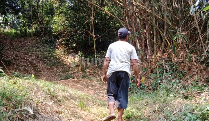 Tanah Di Desa Mekar Wangi Cisauk Tanah Di Desa Mekar Wangi Cisauk