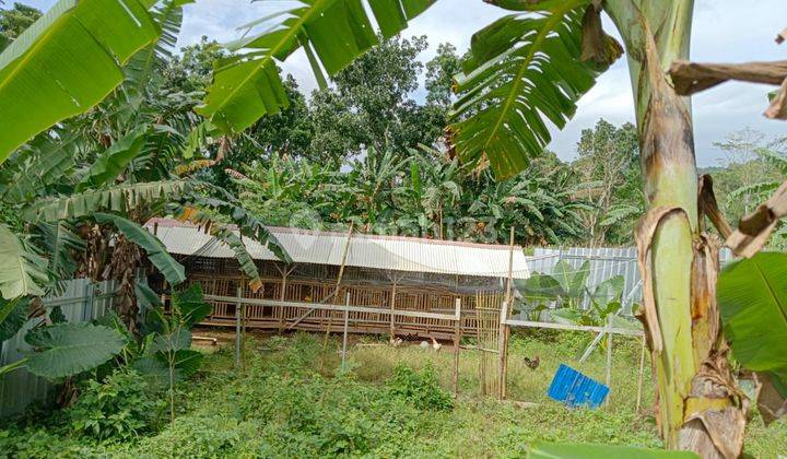 Tanah +Kolam Ikan Di Gunung Munara Rumpin 2