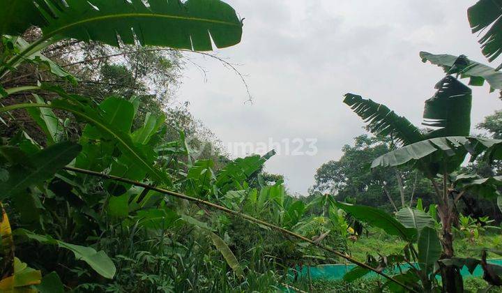 Tanah Strategis Akses Container Siap Pakai Di Jalan Utama Parung 2