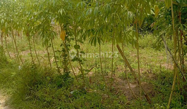 Tanah Jl. Caringin Sayang Sumedang SHM 110 m² Dekat Kampus Unpad 2