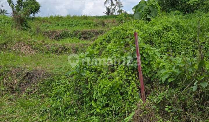 Best Investment Opportunity! Premium 17 Are Land in Nyanyi Beach, 5-Meter Paved Road Access.