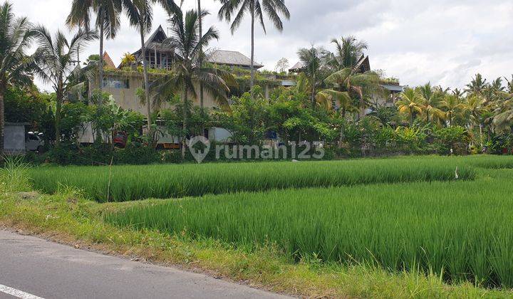 BUC - Tanah Cantik untuk Resort - Ubud rice terrace View 2