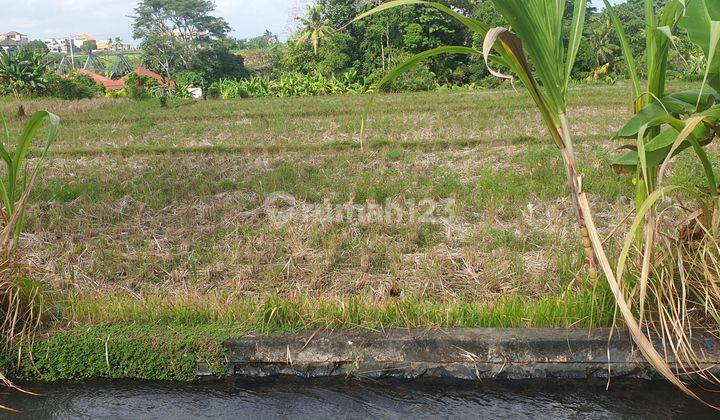 Land for rent in Nyanyi close to the beach 2