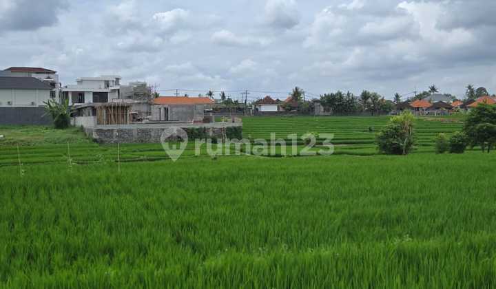 Best Investment! 12 Are SHM Land in Nyanyi Beach, Just a Step Away from Canggu.