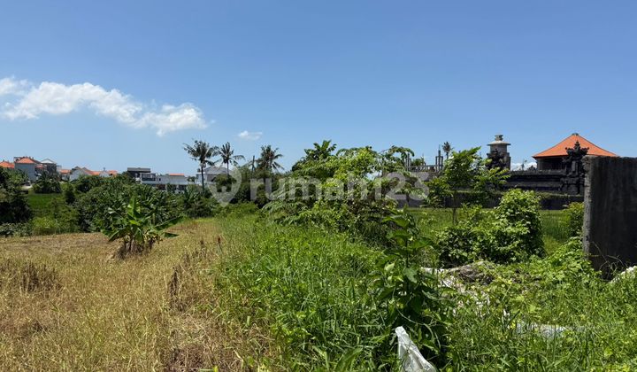 Wujudkan Surga Tropis Anda: Tanah Eksklusif di Munggu - Seseh, Selangkah dari Pantai