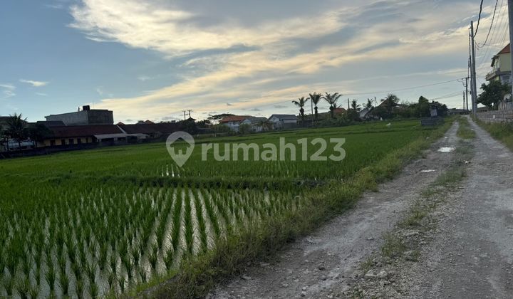 Land For Rent Cemagi 5 Are Walking Distance To The Beach Land For Rent Cemagi 5 Are Walking Distance To The Beach