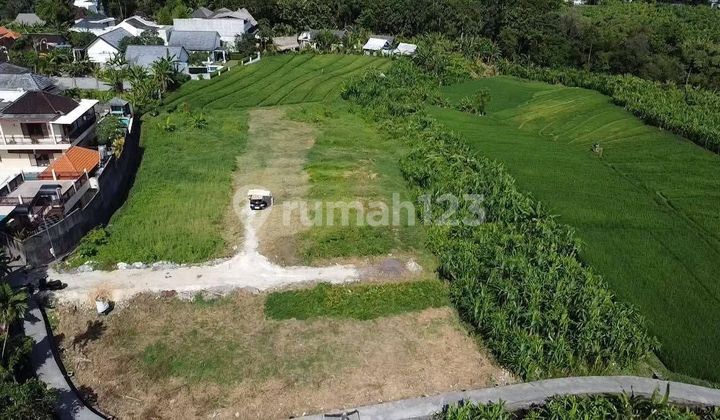 ✨ THE BEST INVESTMENT OPPORTUNITY! Premium Rice Field View Land in the Heart of Pererenan ✨