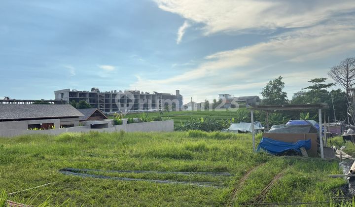 Land For Rent In Seseh Walking Distance To The Beach And Villas Environment Land For Rent In Seseh Walking Distance To The Beach And Villas Environment