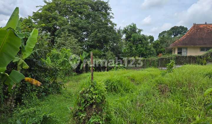 Best Investment Opportunity! Premium 17 Are Land in Nyanyi Beach, 5-Meter Paved Road Access.