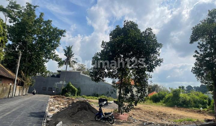 Small plot in Ubud Center, in the restaurant, gallery, boutique area, can take up 200m2