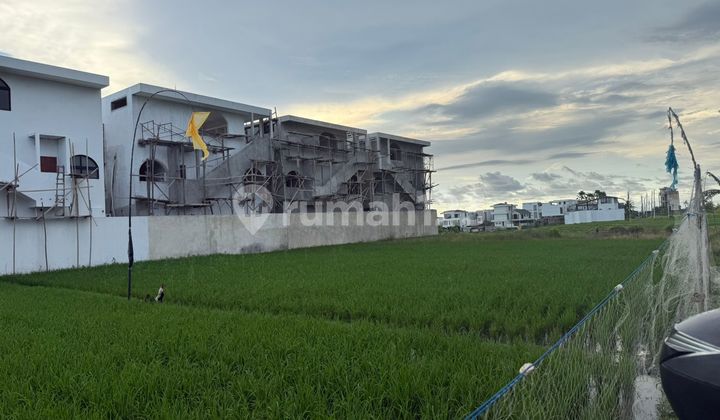 Land For Rent In Cemagi 13 Are Land For Rent In Cemagi 13 Are