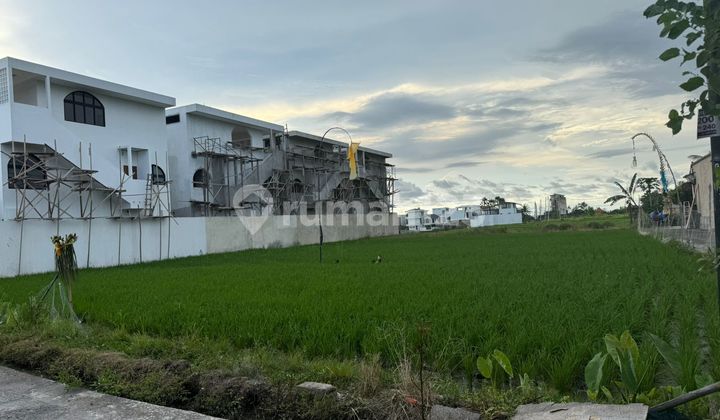 Land For Rent In Cemagi 13 Are Land For Rent In Cemagi 13 Are