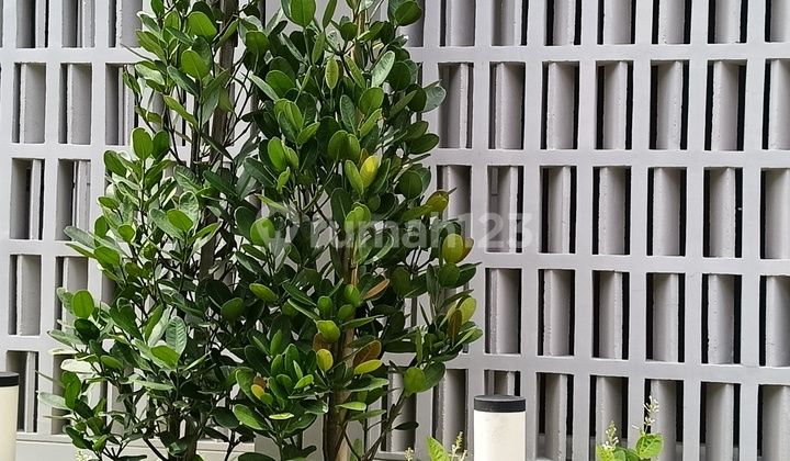 For Rent House in Sumarecon Crown Gading, North Bekasi. 2