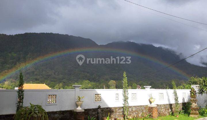 Rumah Villa Asri Di Bedugul View Pegunungan  2