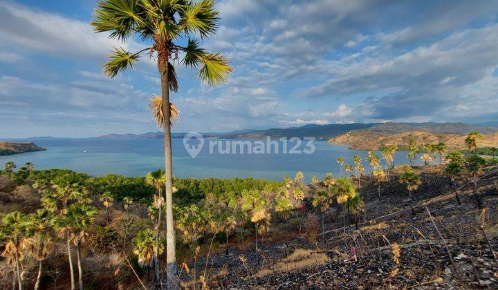 TANAH OCEAN VIEW DI WAECICU TIMUR LABUAN BAJO 1