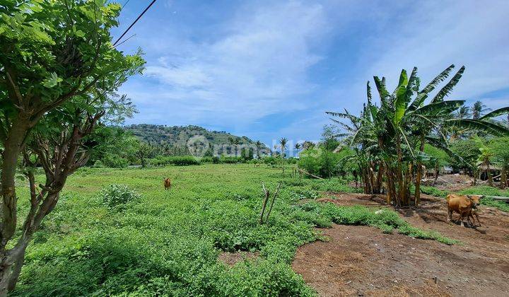 TANAH PANTAI DI PANDANAN LOMBOK UTARA 2