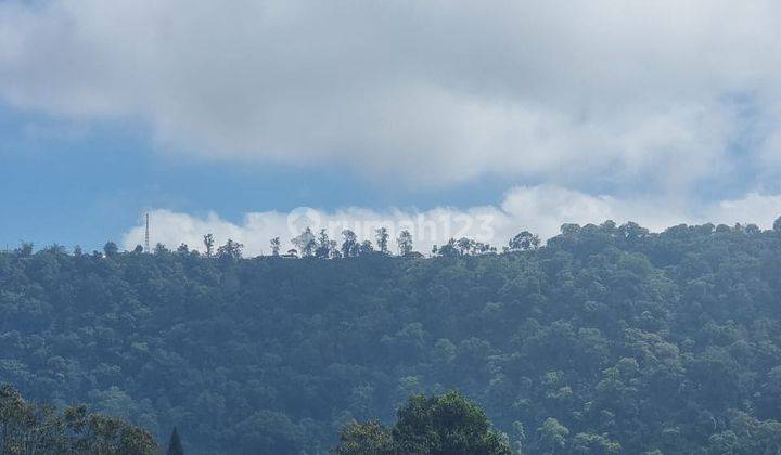 Sale Tanah View Danau di bedugul Pancasari kawasan villa 1