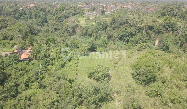 DIJUAL/DISEWA TANAH STRATEGIS DI KEMENUH UBUD DIJUAL/DISEWA TANAH STRATEGIS DI KEMENUH UBUD