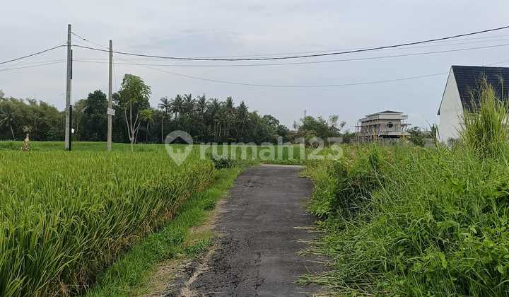 Anah SHM 250M² Tourism Zone - 700M to Kedungu Beach Bali