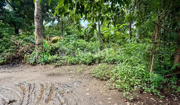 Tanah Dijual di Lod Tunduh Ubud 12,5 Are - Cocok Villa & Investasi