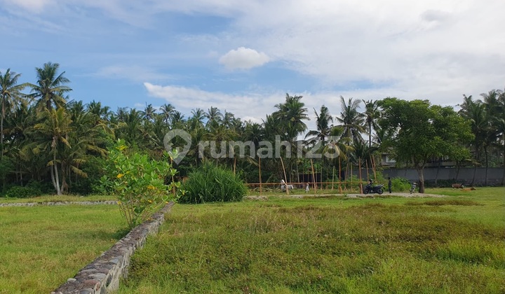 Anah Eksklusif Zona Pink di Saba Beach, Bali