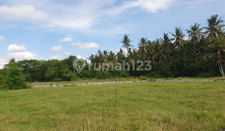 Tanah Eksklusif Zona Pink di Saba Beach, Bali