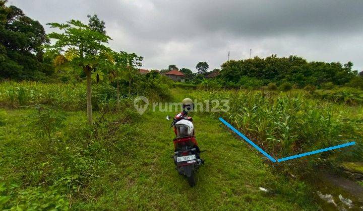 Buc Tanah Murah 2 Are Nusa Dua Dekat Pandawa 1