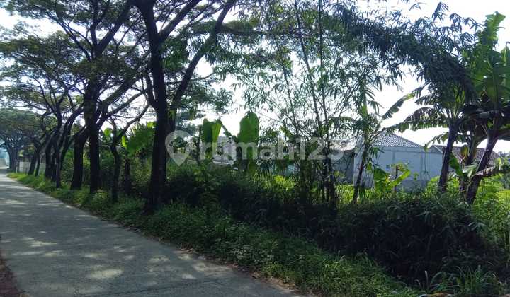 Kavling Ciodeng Baleendah Kavling Ciodeng Baleendah