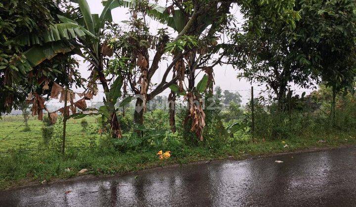 Kavling Gunung Puntang Ciwidey 1