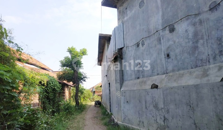 Rumah dan Sarang Burung Walet di Burujul Majalengka Rumah dan Sarang Burung Walet di Burujul Majalengka