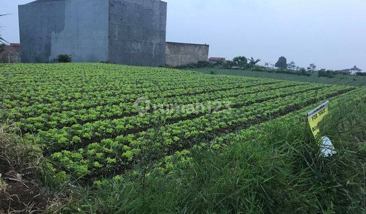 Kavling Setiabudi Regency Jalan Utama 1