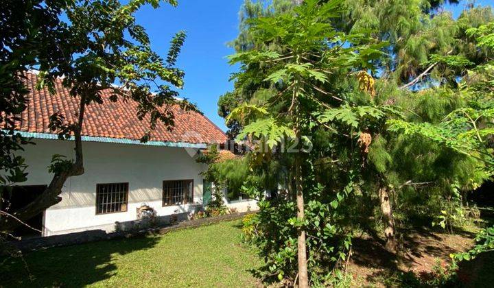 Rumah Besar Dipalaya Ciwaruga, Cocok Utk Villa Atau Airbnb 1