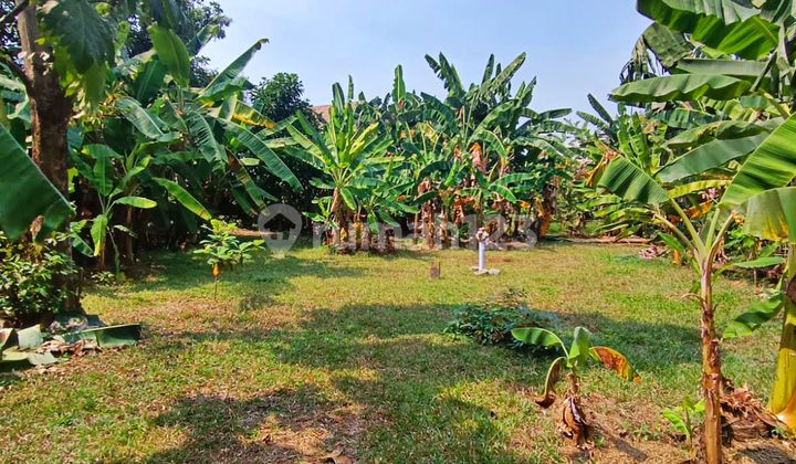 Kavling Tanah Bintaro Jl Pondok Betung Raya Dekat Mal dan Stasiun Kavling Tanah Bintaro Jl Pondok Betung Raya Dekat Mal dan Stasiun