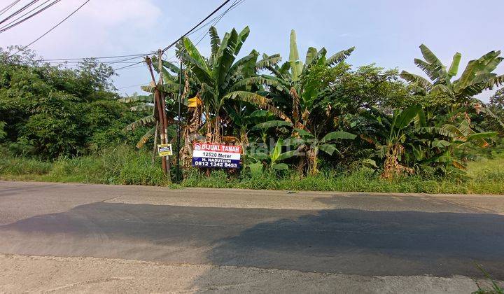 Tanah Kavling Di Jalan Utama Jalan Permata Gunung Sindur  2