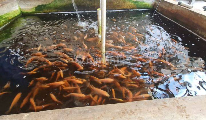 Dijual Hitung Tanah Saja di Setra Murni 11
