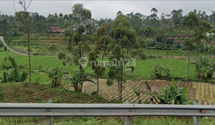 Tanah Kebun Dan Villa di Situ Leunca Strategis 6