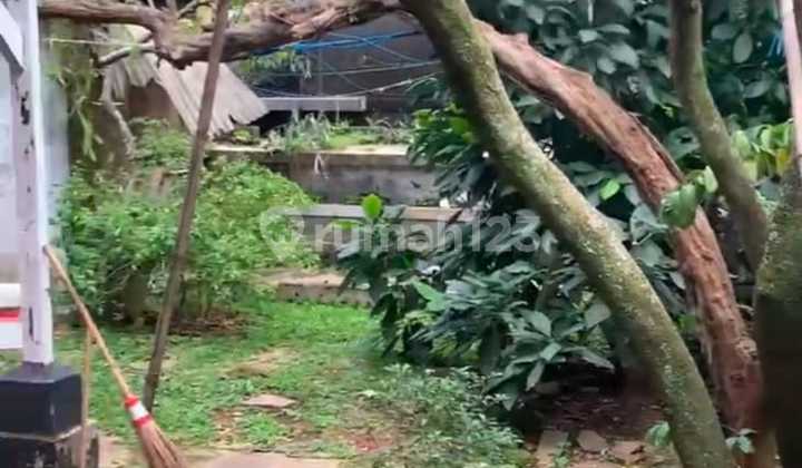 Only calculate the land house in Cipaganti wing. Only calculate the land house in Cipaganti wing.