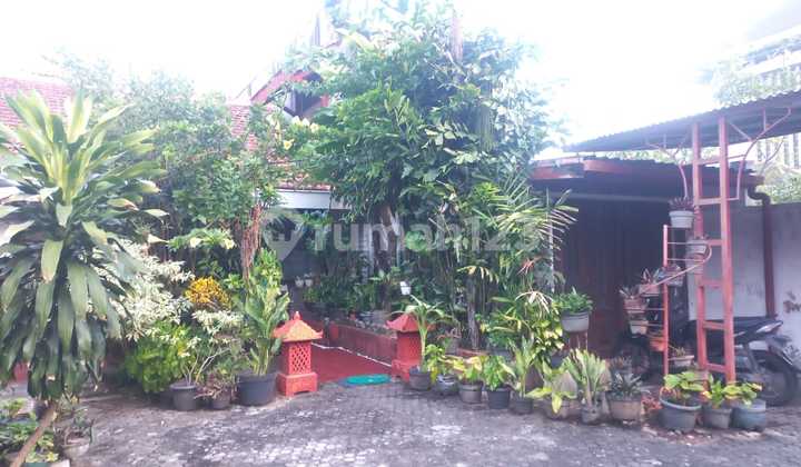 Dijual Rumah Tengah Kota di Jl. Erlangga Barat Semarang 2